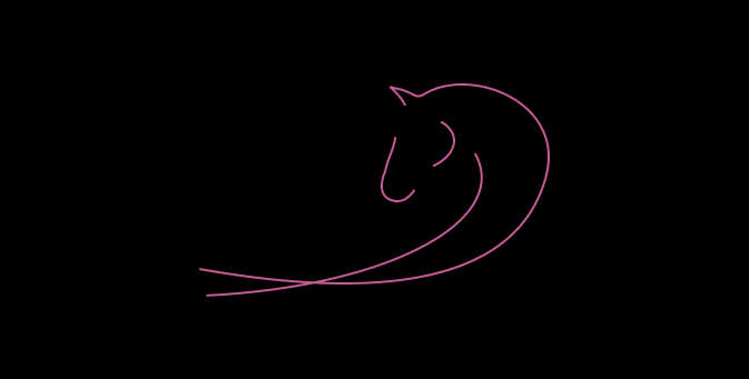 pferd equinova zucht